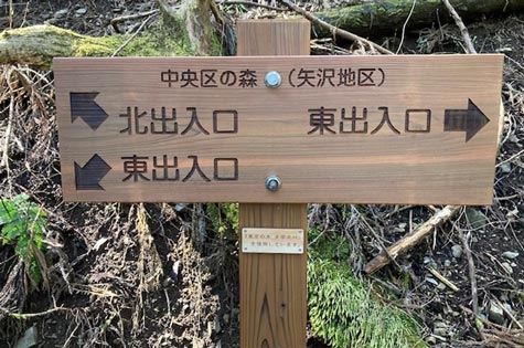 中央区の森（本宿・矢沢地区）：イメージ3