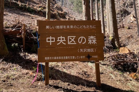 中央区の森（南郷・矢沢地区）　中央区：サムネイル