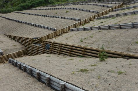 金曽沢林地荒廃復旧工事：イメージ3