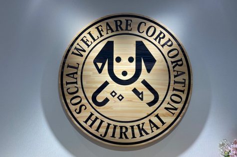 社会福祉法人ひじり会　みずほひじり保育園　瑞穂町：サムネイル