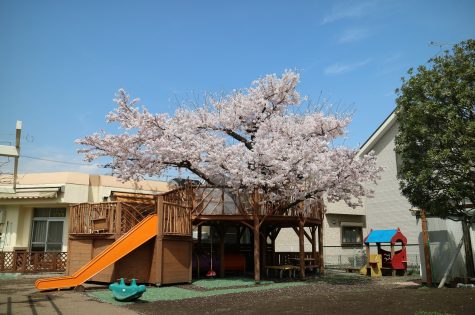 鈴の音保育園　青梅市：サムネイル