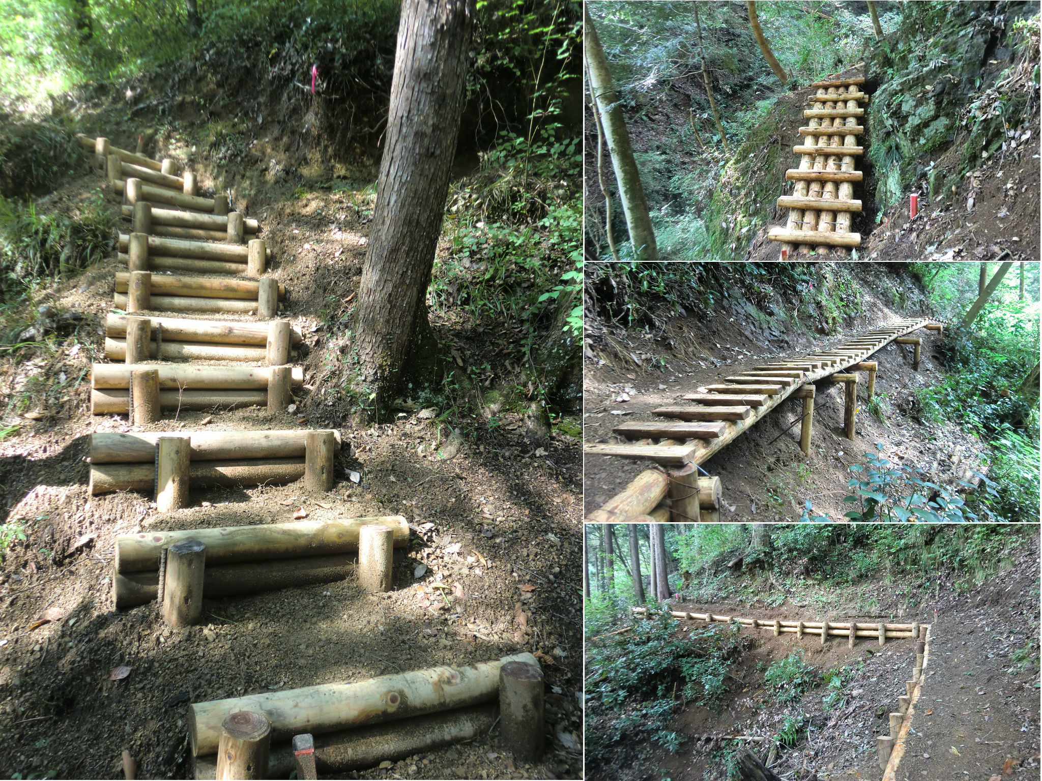 今熊都有林 歩道整備：イメージ2